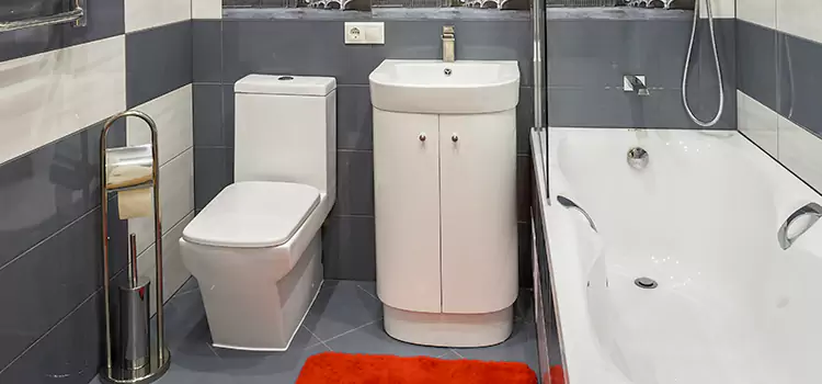 Hansgrohe Shaving Mirror Lakeville